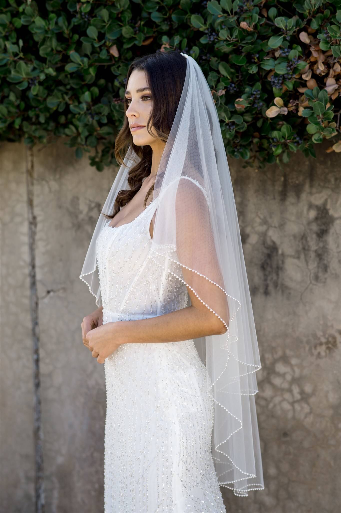 Baroness Veil