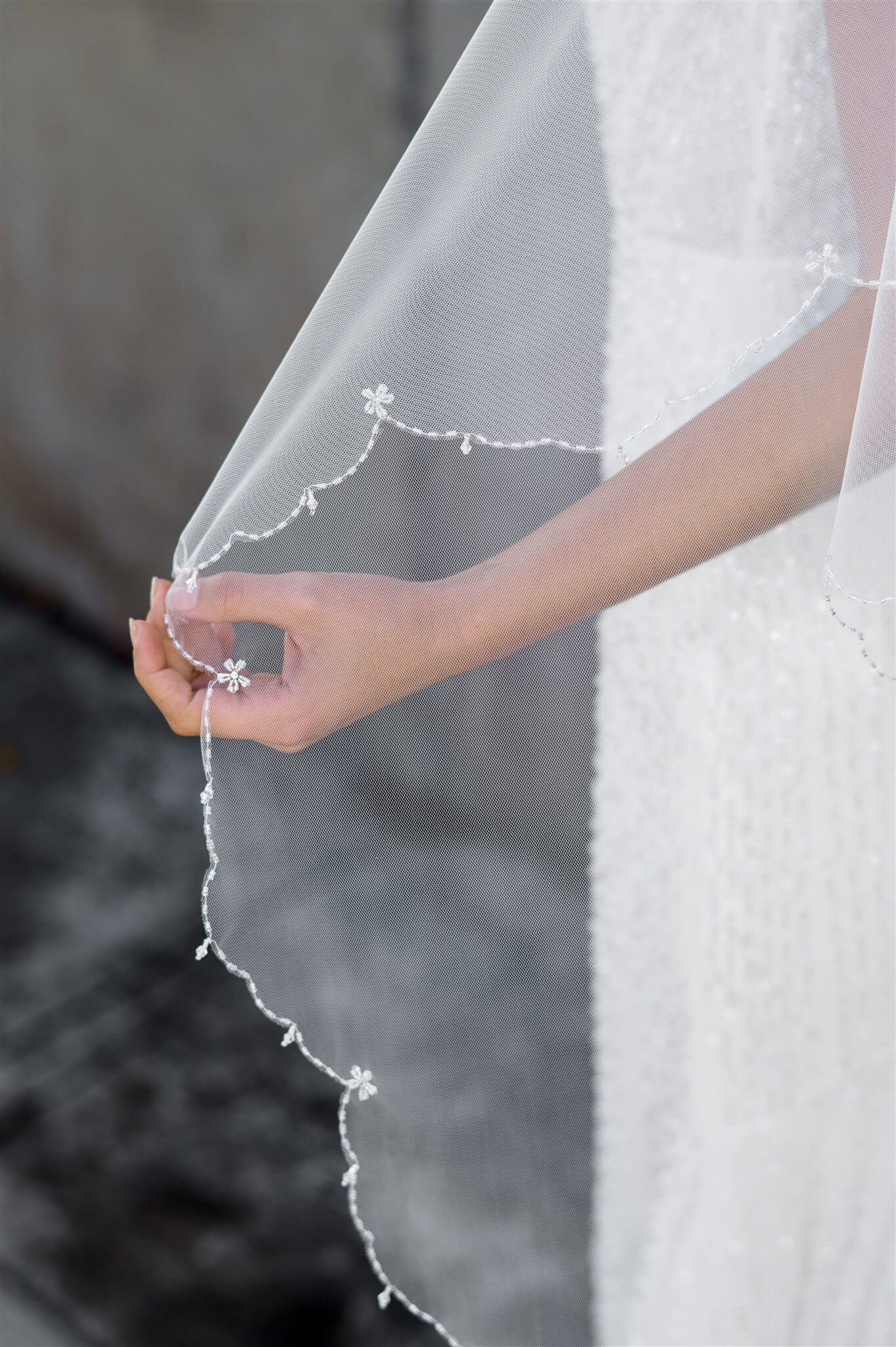 Bella Veil