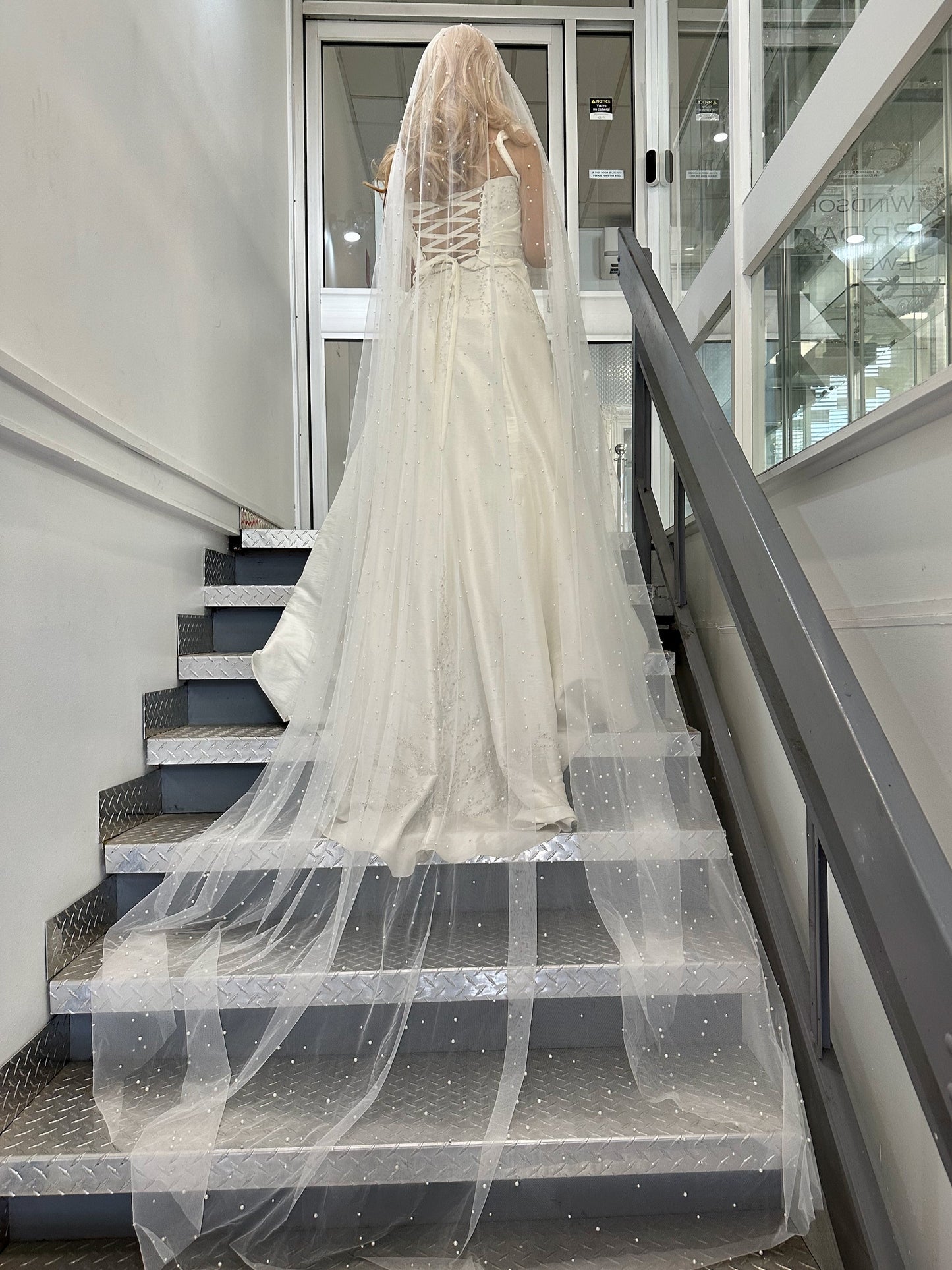 Livvy Veil