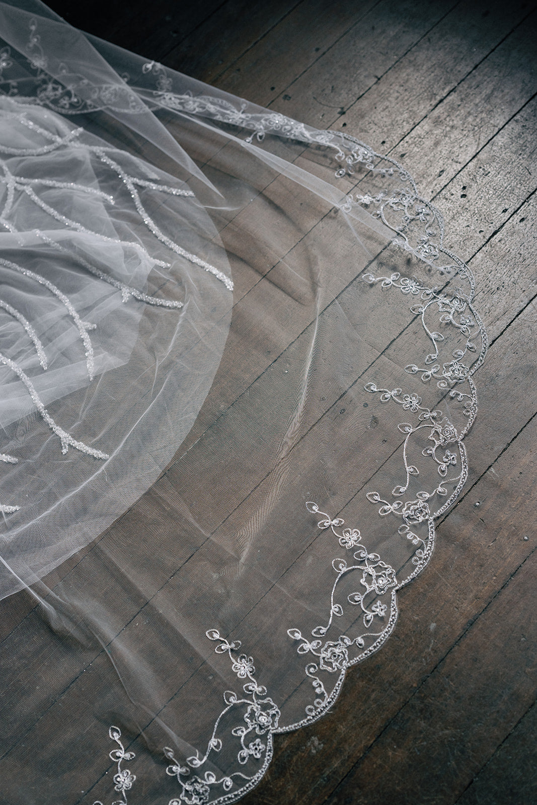 Lisa Veil