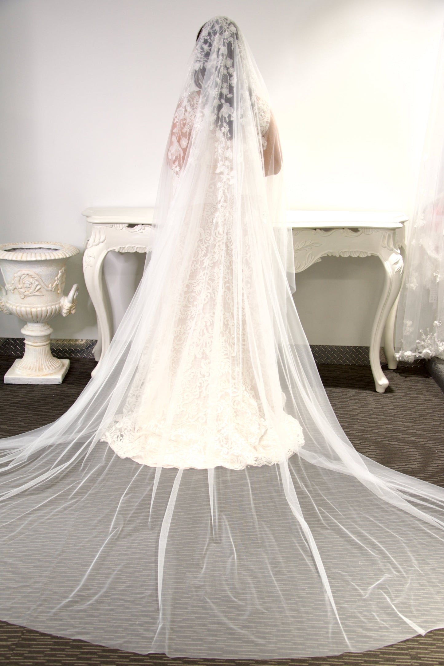 Whitney Veil