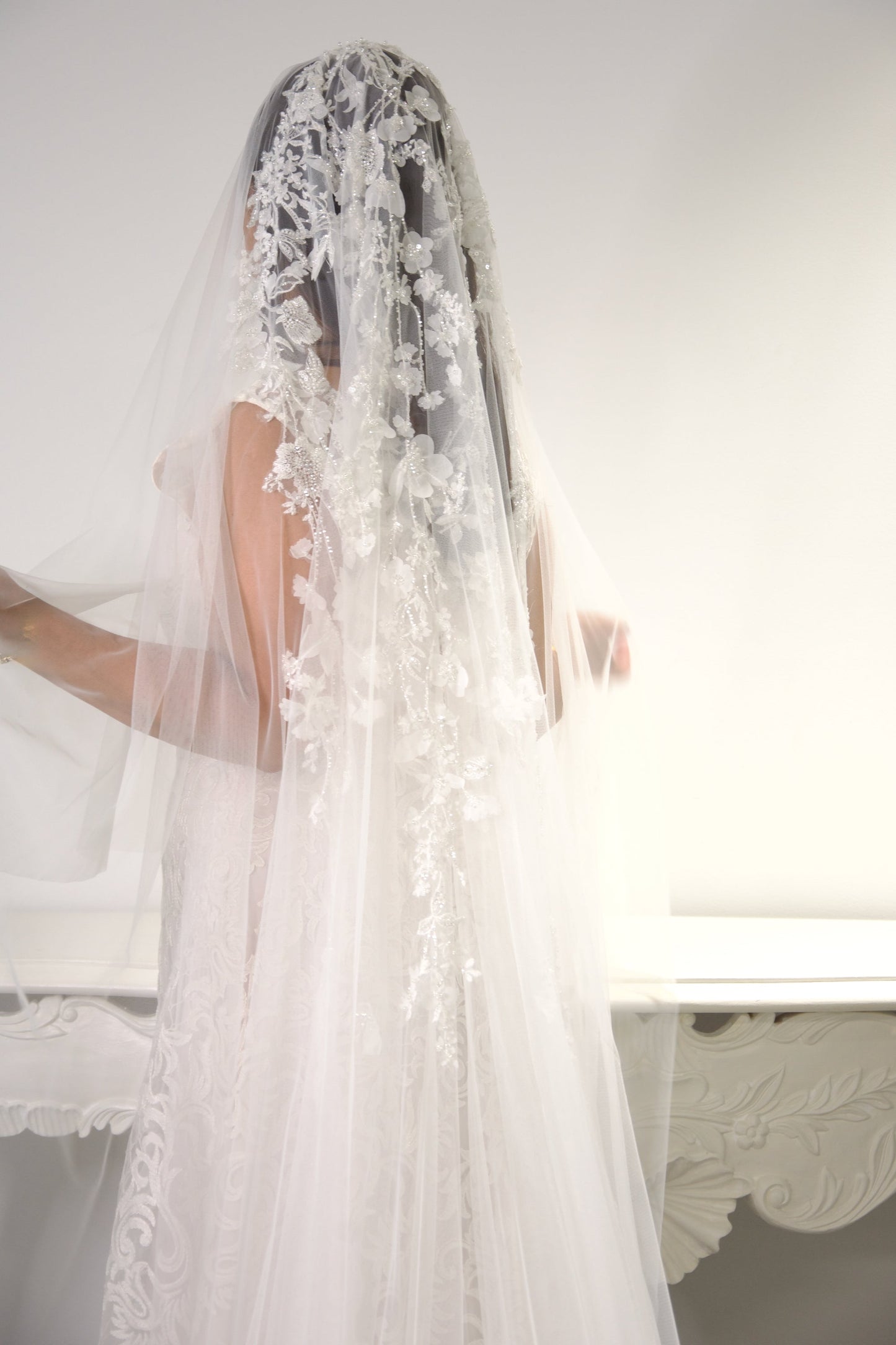 Whitney Veil