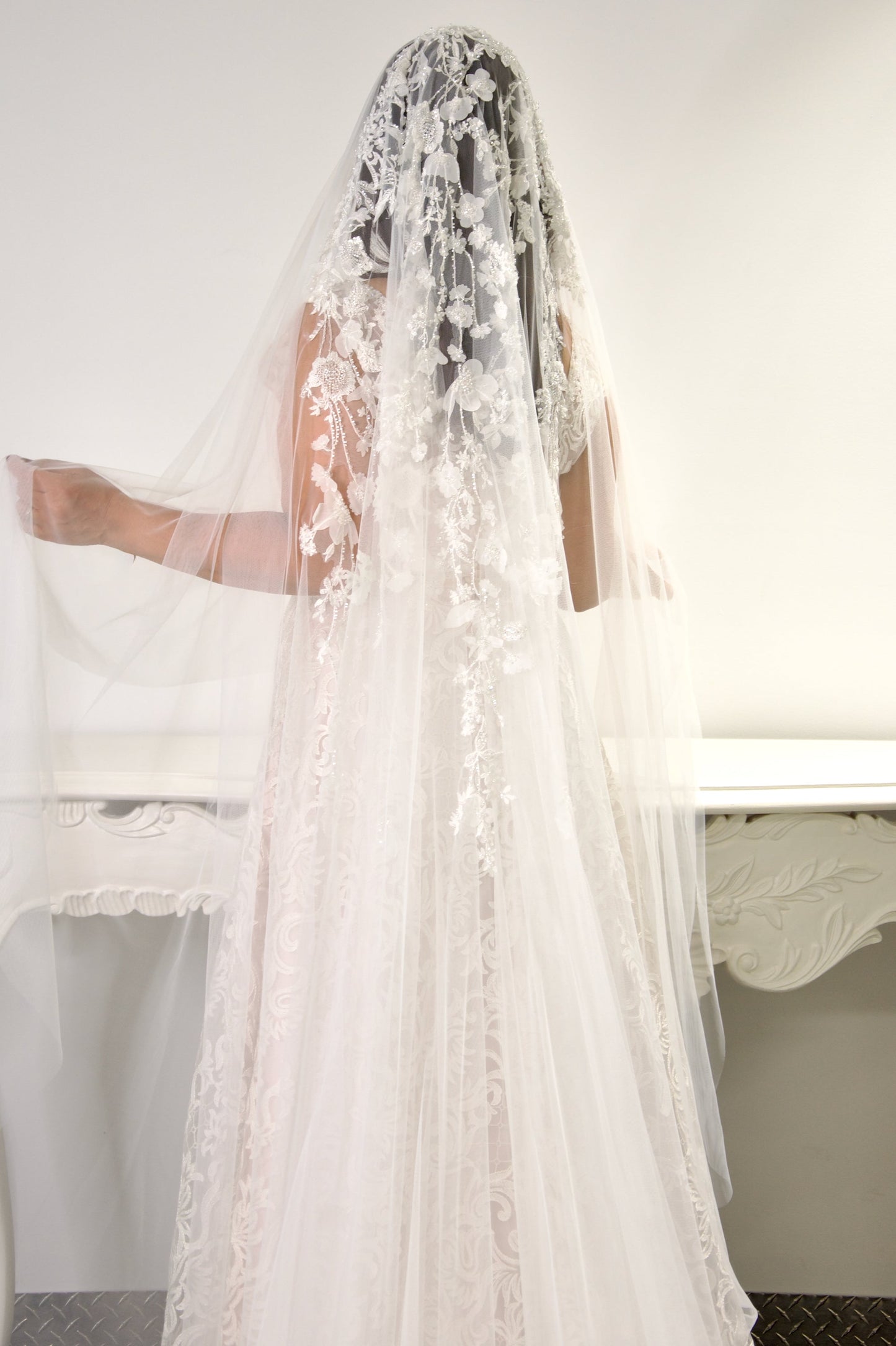 Whitney Veil