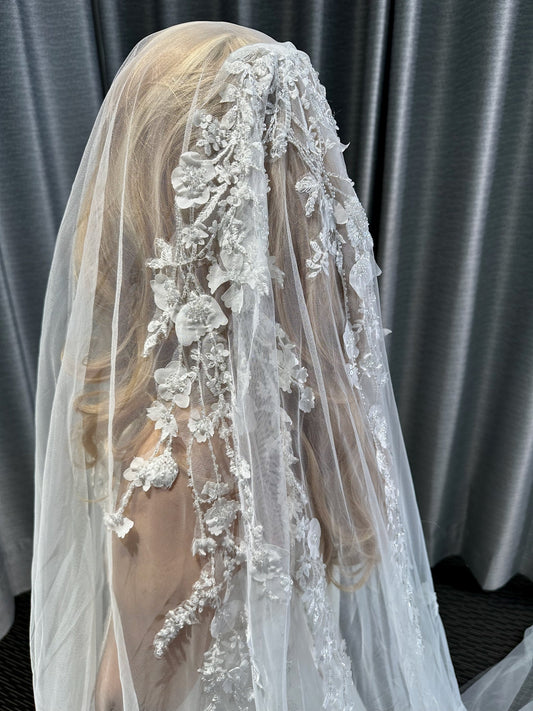 Whitney Veil