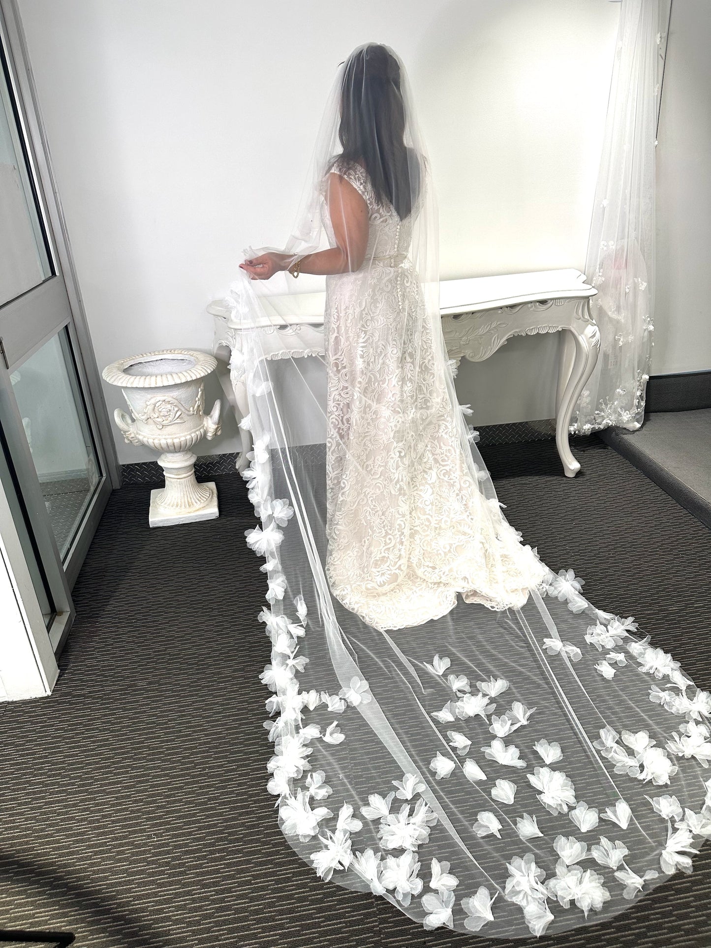 Penelope Veil