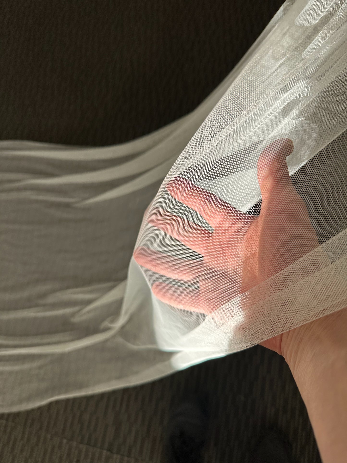 Silk Tulle Raw Edge Veil