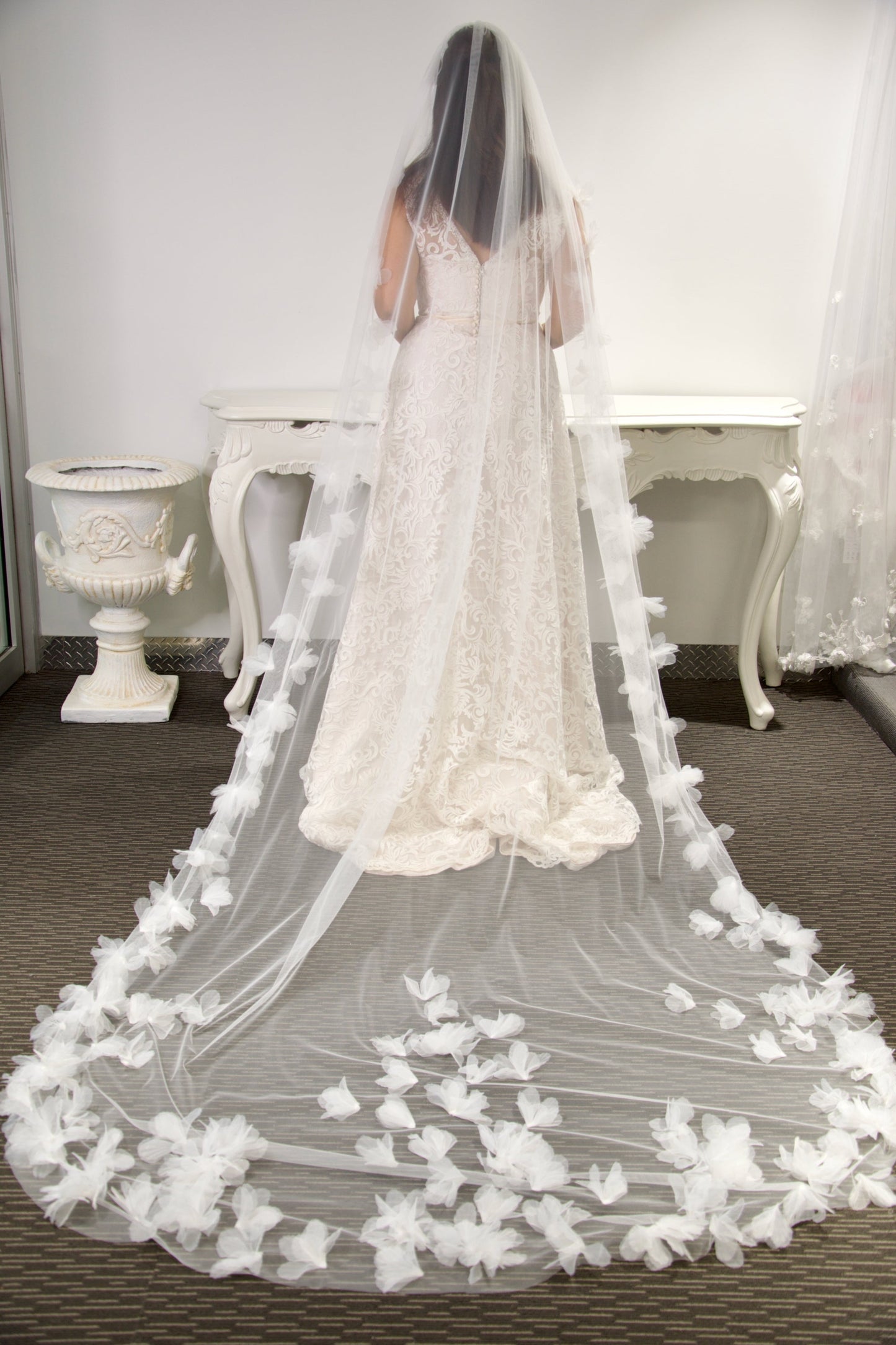 Penelope Veil